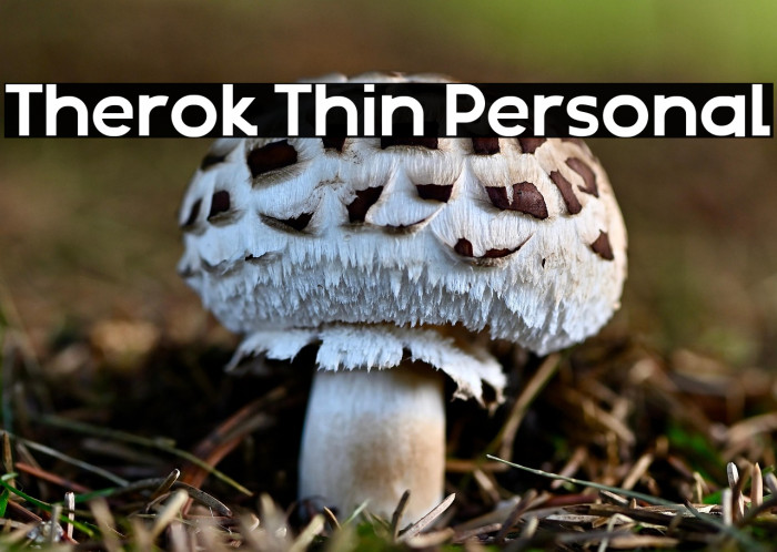 Therok Thin Personal Example 1