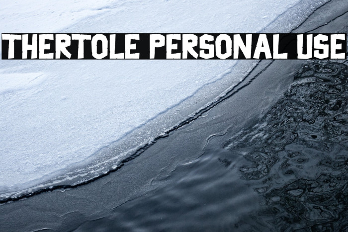 Thertole Personal Use Example 3