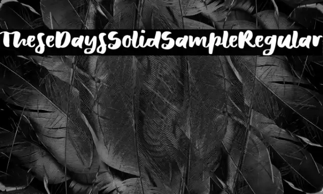 TheseDaysSolidSample-Regular Fonte examples