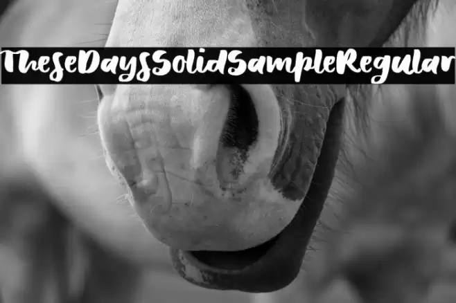 TheseDaysSolidSample-Regular Fonte examples