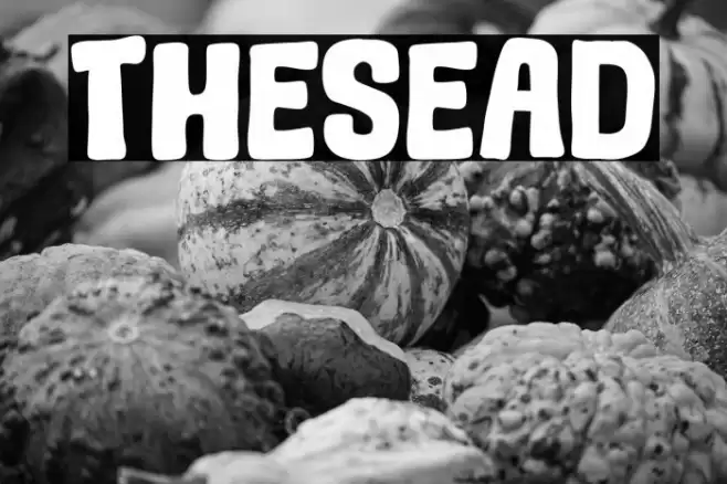 Thesead Font examples