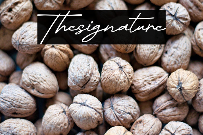 Thesignature Example 2