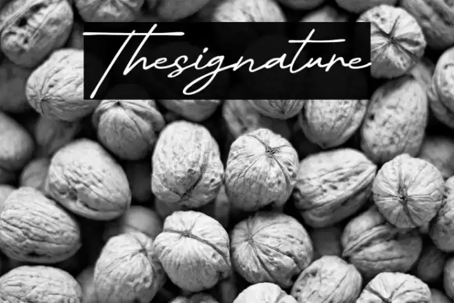 Thesignature Font examples