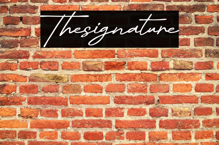 Thesignature Example 3
