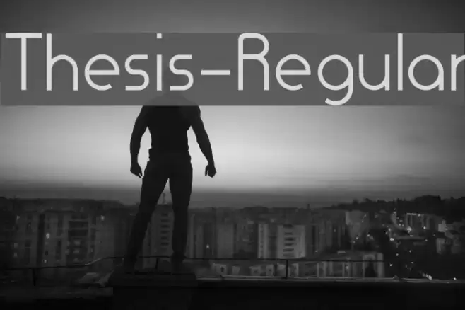 Thesis-Regular Font examples