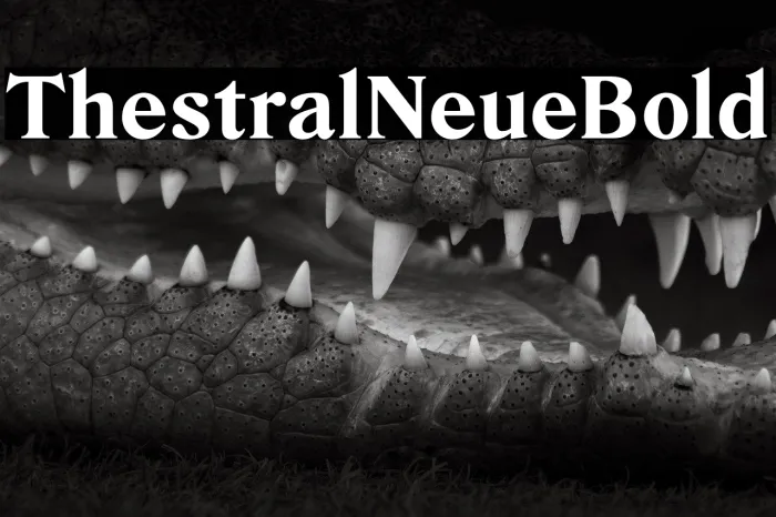 Thestral Neue Bold Example 1