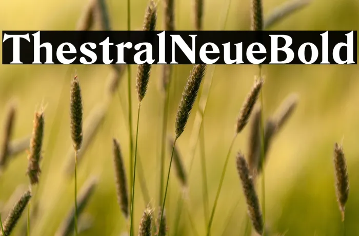 Thestral Neue Bold Example 3