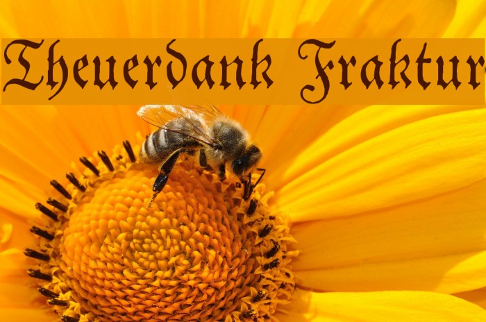 Theuerdank Fraktur Font examples