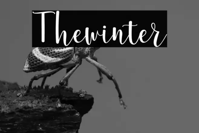 Thewinter Font examples
