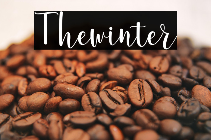Thewinter Example 3