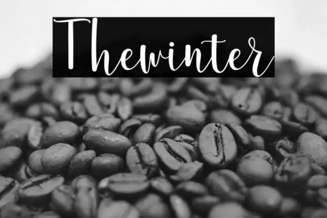 Thewinter Font examples