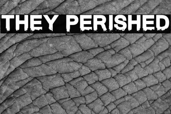 They Perished Font examples