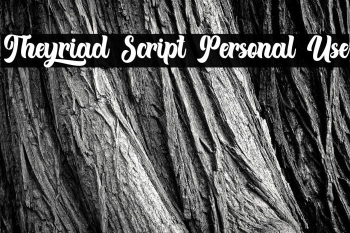 Theyriad Script Personal Use Example 1