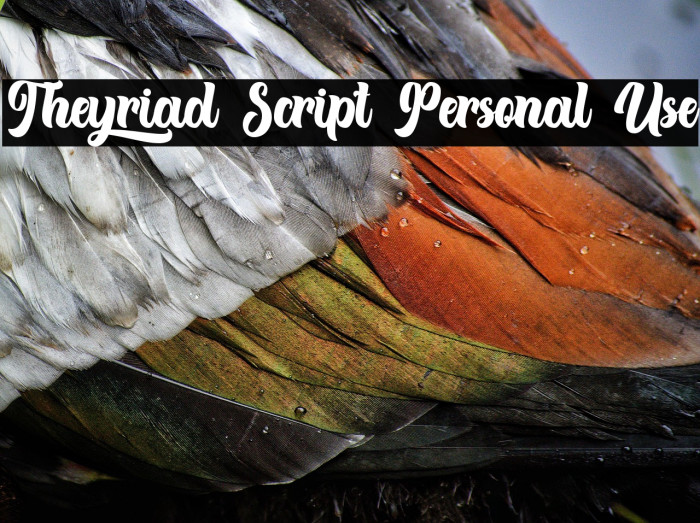 Theyriad Script Personal Use Example 3