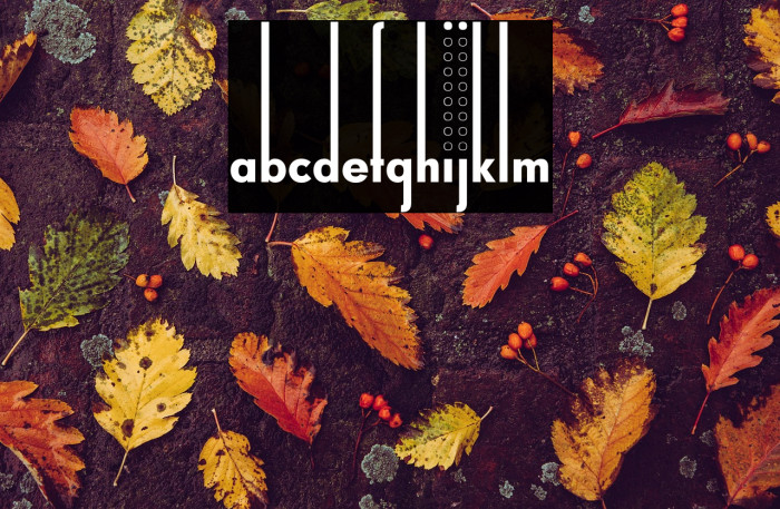 Thiamine-Regular Example 3