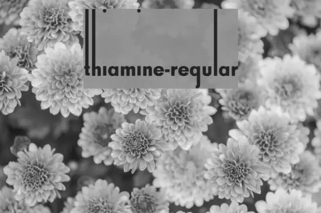 Thiamine-Regular Font examples
