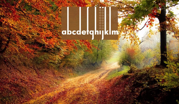 Thiamine Font examples