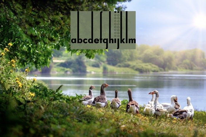 Thiamine Font examples