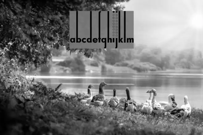 Thiamine Schriftart examples