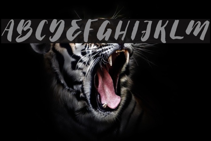 Thick Brush Demo Font examples