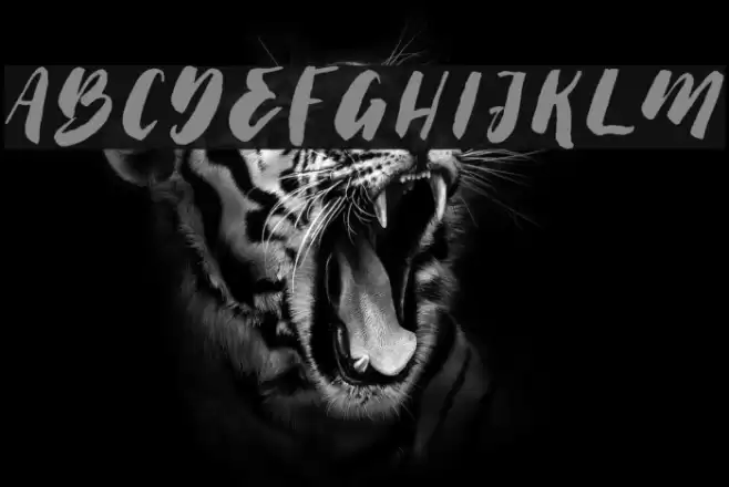 Thick Brush Demo Font examples