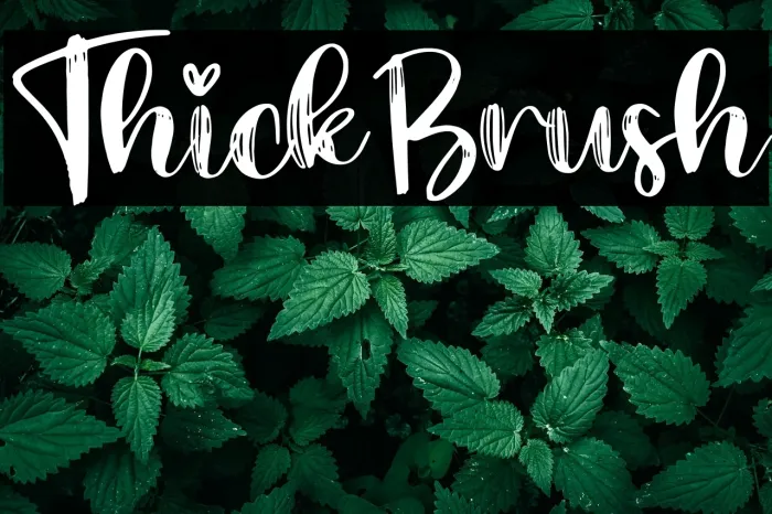 Thick Brush Example 2