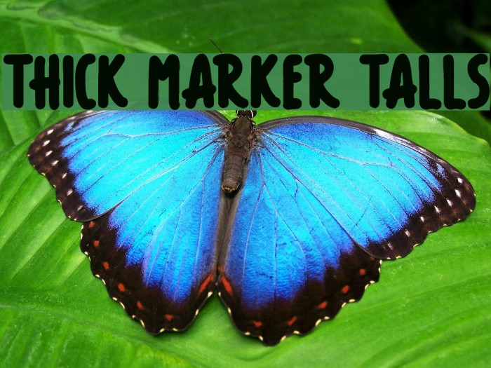 Thick Marker Talls Font examples
