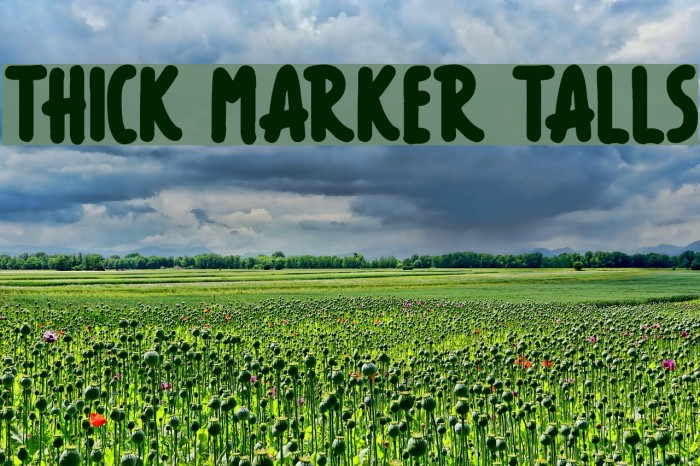 Thick Marker Talls Font examples