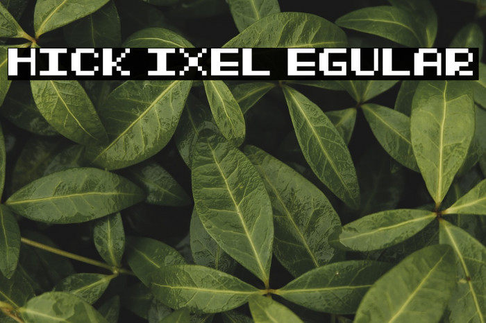 Thick Pixel Regular Example 2