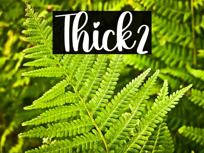 Thick2 Example 2