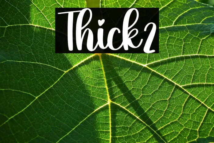 Thick2 Example 3
