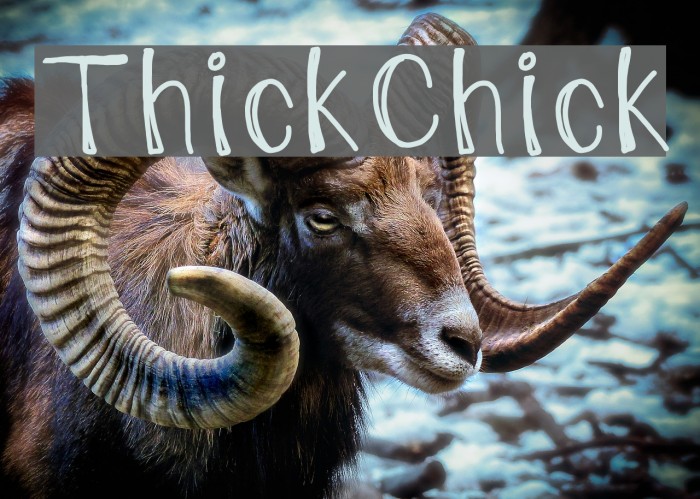 ThickChick Font examples