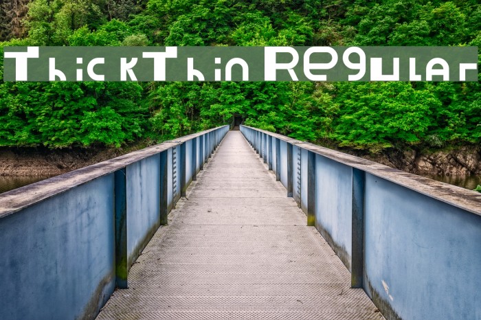 ThickThin Regular Font examples