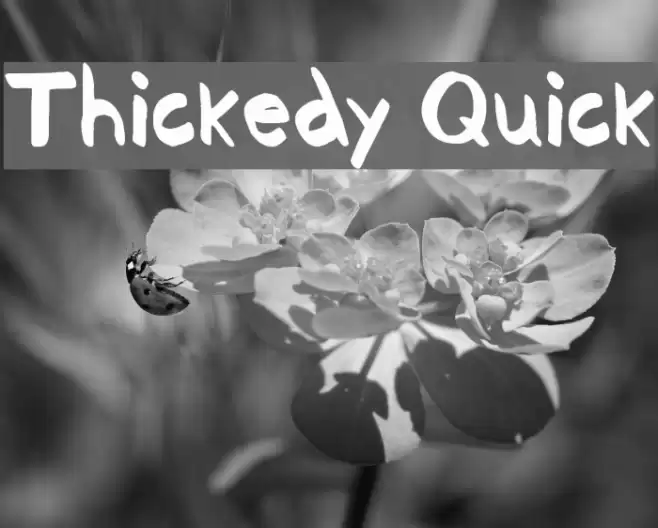Thickedy Quick Font examples