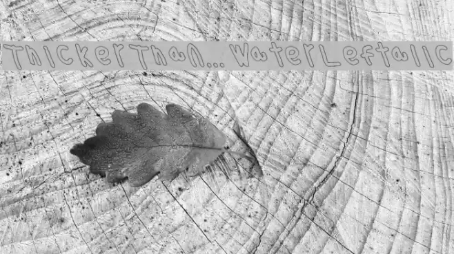 Thicker Than... Water Leftalic Font examples