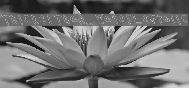 Thicker Than... Water Leftalic Font examples