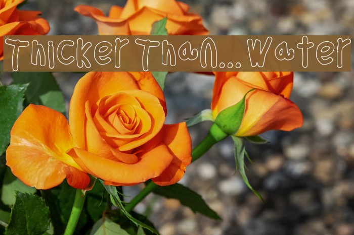 Thicker Than... Water Font examples