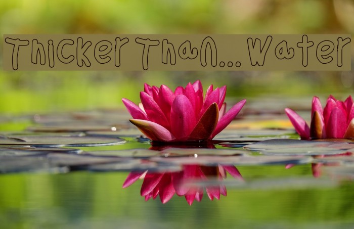 Thicker Than... Water Font examples