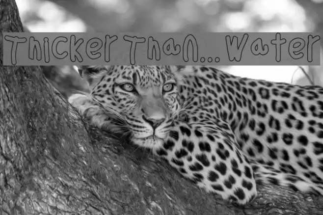 Thicker Than... Water Font examples