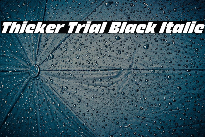 Thicker Trial Black Italic Example 1