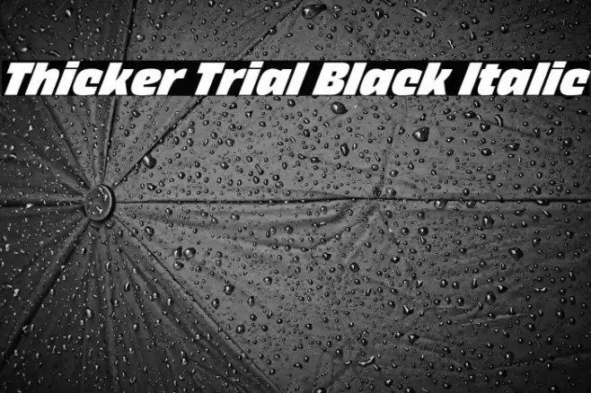 Thicker Trial Black Italic Font examples