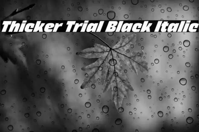 Thicker Trial Black Italic Font examples