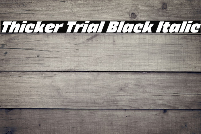 Thicker Trial Black Italic Example 3