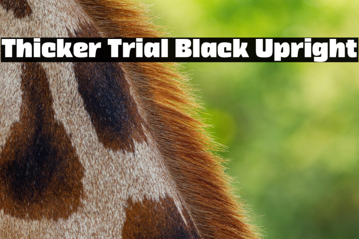 Thicker Trial Black Upright Example 2