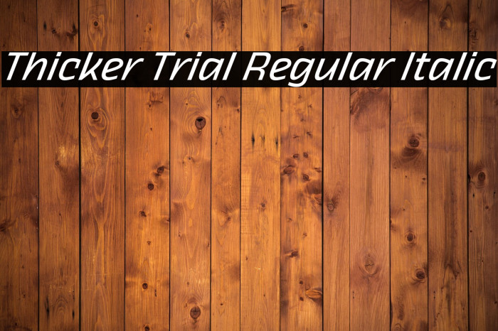 Thicker Trial Regular Italic Example 3