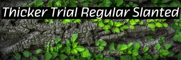 Thicker Trial Regular Slanted Example 1