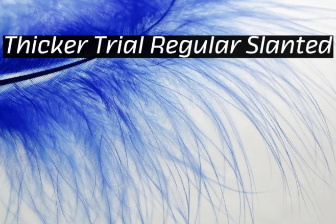 Thicker Trial Regular Slanted Example 2