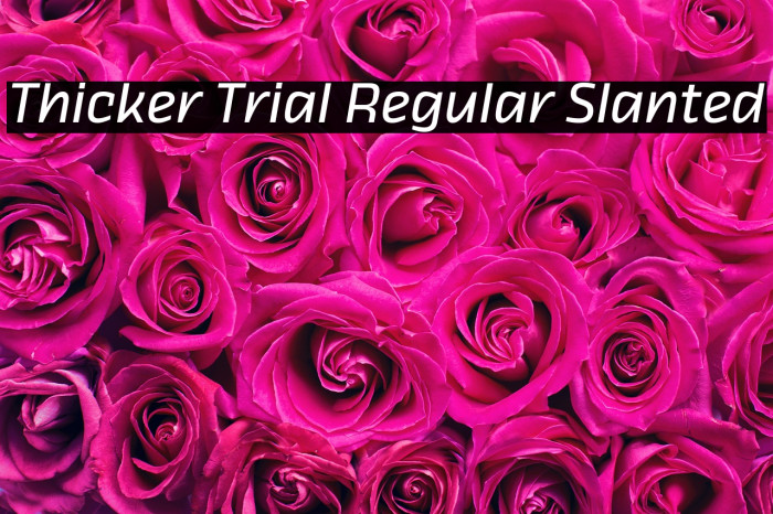 Thicker Trial Regular Slanted Example 3