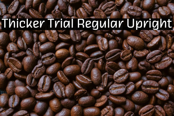 Thicker Trial Regular Upright Example 2