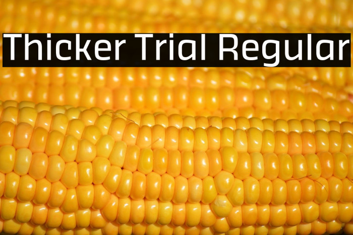 Thicker Trial Regular Example 1